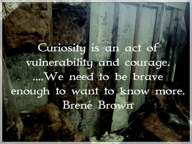 Courage is an act of vulnerability and courage...We need to be brave enough to want to know more. Brené Brown